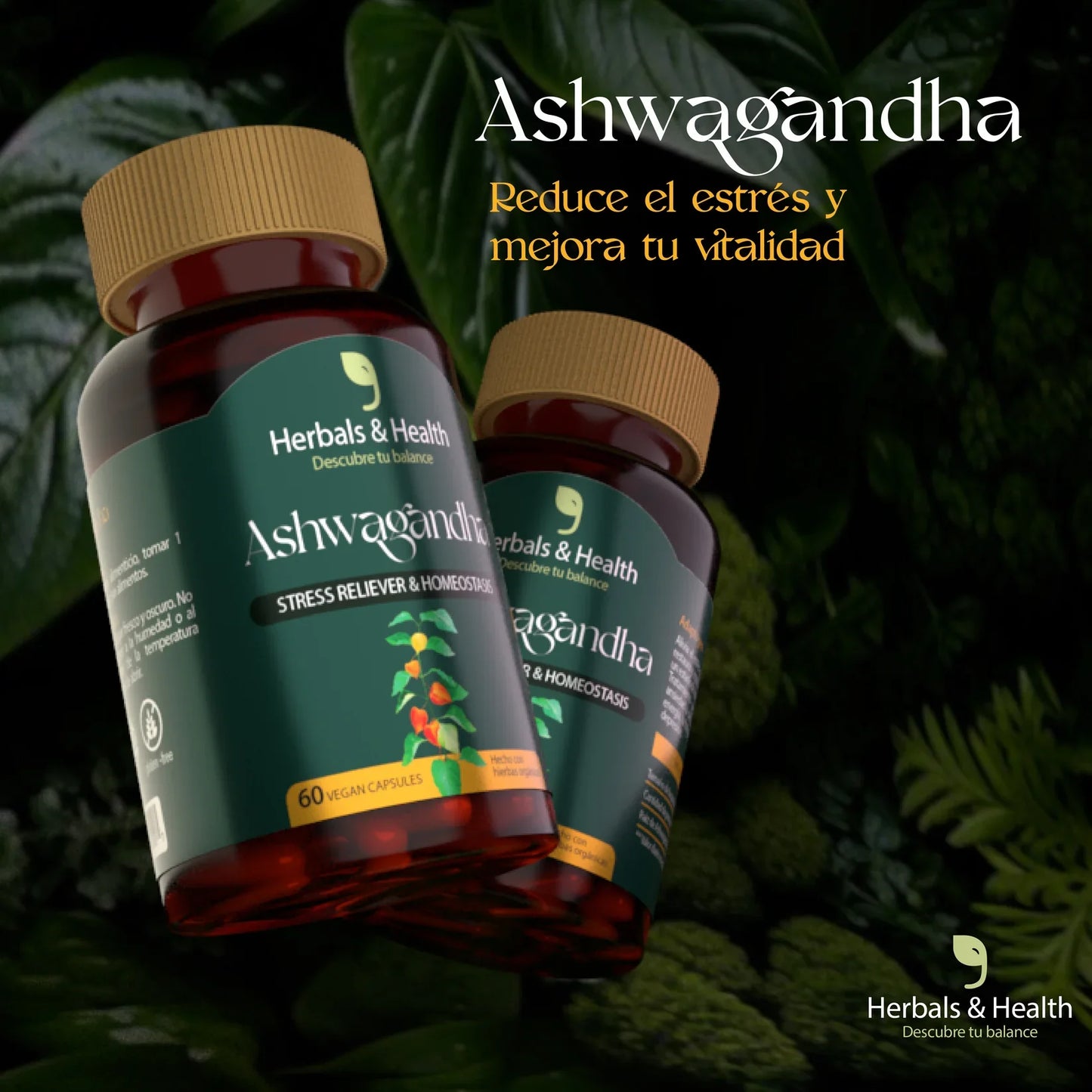 ASHWAGANDHA (60 Cápsulas