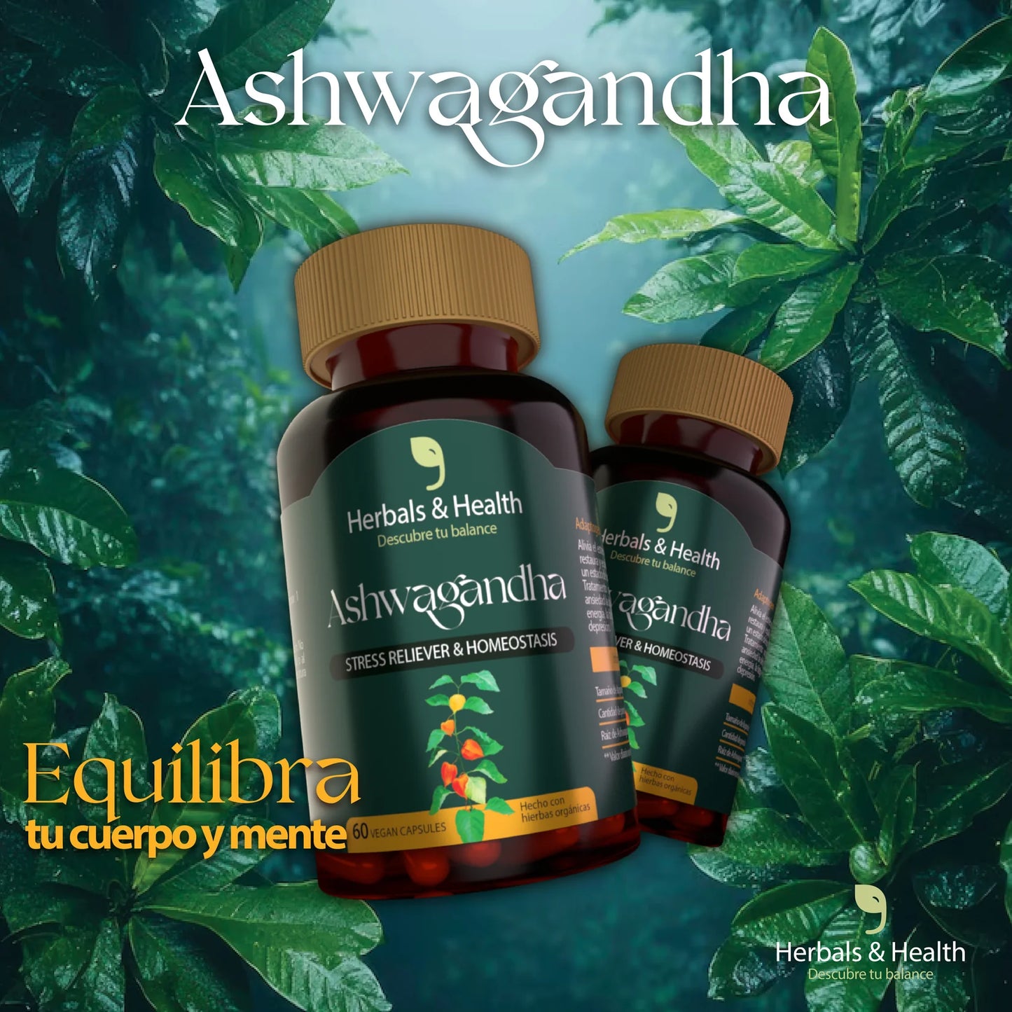 ASHWAGANDHA (60 Cápsulas